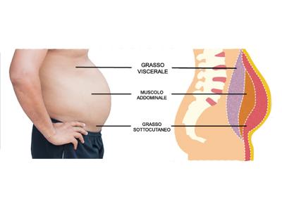 L'eccesso di grasso viscerale rappresenta un rischio per la salute.