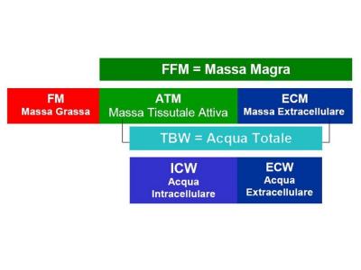 Bioimpedenziometria razionale